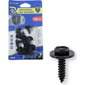 Rchang Βίδες Αυτοκινήτου Universal W17669 – Σετ 12 Τεμαχίων - Car Screws