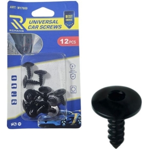 Rchang Βίδες Αυτοκινήτου Universal W17669 – Σετ 12 Τεμαχίων - Car Screws
