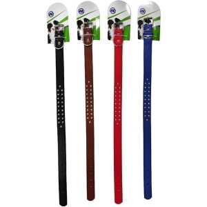 Alternative view of Κολάρο Σκύλου - Dog Collar