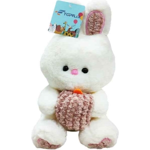 Λούτρινο Λαγουδάκι - Plush Bunny