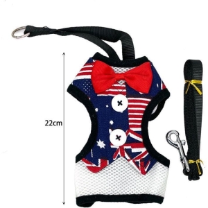 Κουστούμι σκύλου και λουράκι - Dog costume and leash