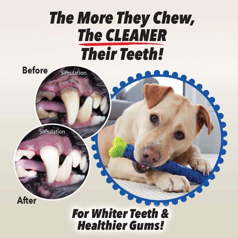 Παιχνίδι σκύλου/οδοντόβουρτσα - Pet toothbrush - Image 2