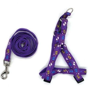 Λουρί σκύλου - Dog leash