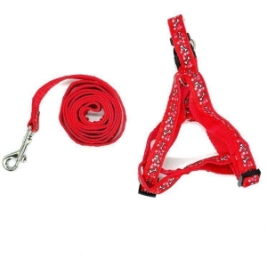Λουρί σκύλου - Dog leash