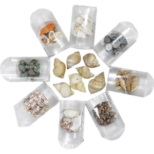 Διακοσμητικά κοχύλια σε κουτί 1τμχ - Shell decoration