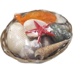 Alternative view of Διακοσμητικά κοχύλια σε καλαθάκι - Shell decoration