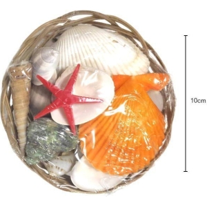 Διακοσμητικά κοχύλια σε καλαθάκι - Shell decoration