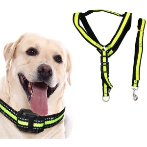 Λουρί σκύλου - Dog leash